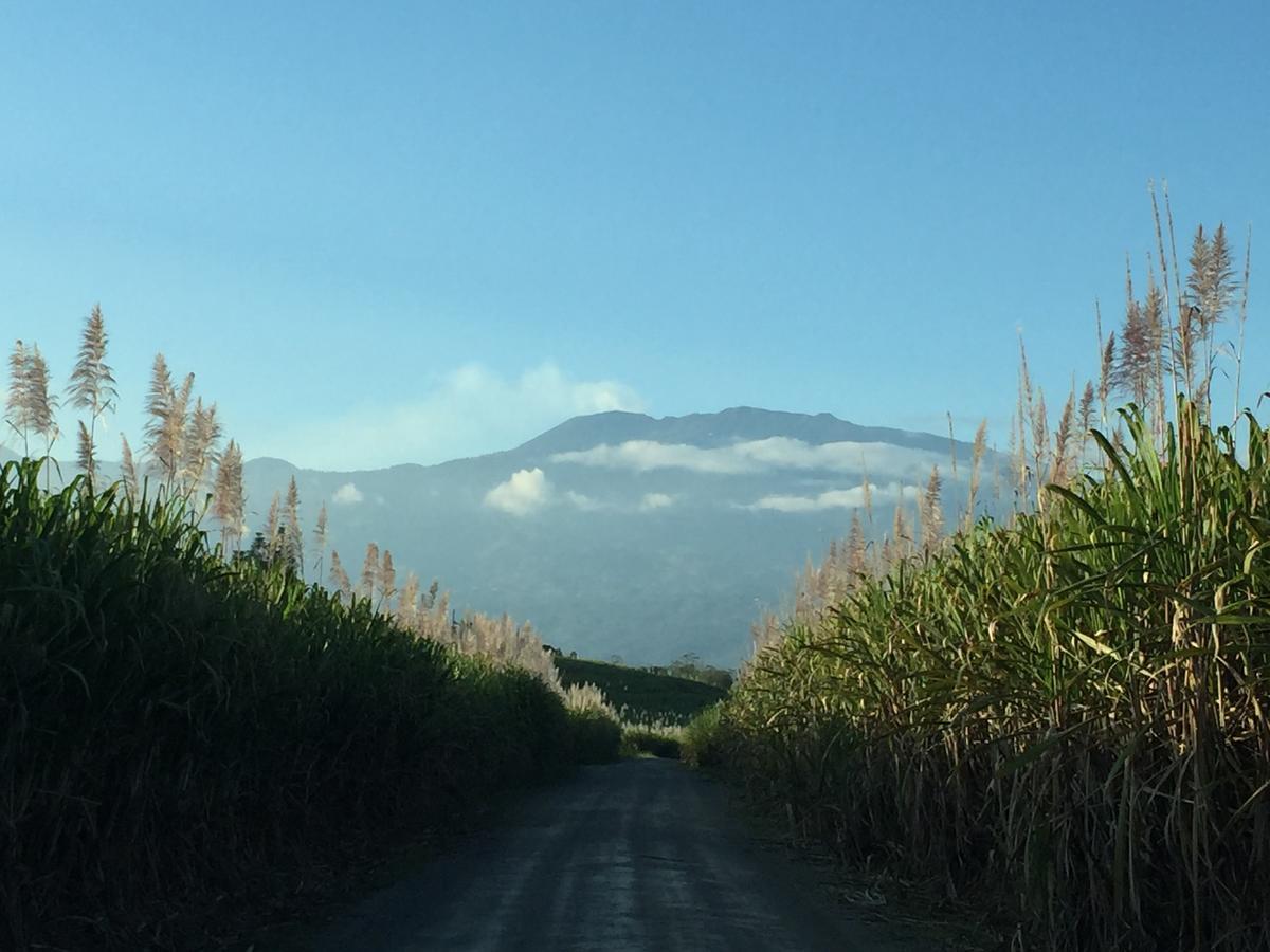 Hotel Villa Florencia Turrialba Eksteriør bilde